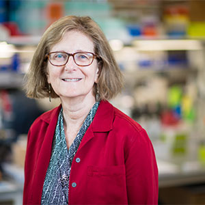 Professor of biochemistry and molecular biology Rebecca Dickstein